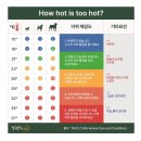 방주동물의료센터 이미지