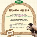 11월, 푸바오 팝업스토어 + 인기 팝업스토어 방문 추천 모음. Zip