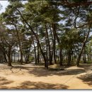 영주 소수서원 이미지