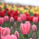 문암목장 이미지