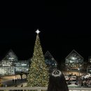 [요즘뭐해] 의왕 타임빌라스 갔다가 연남 블루보틀까지 주말 한바퀴🎅