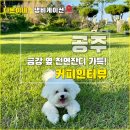 공주-68 | 공주 애견동반 - 카페 앞에 금강이 흐르는 커피인터뷰 후기!
