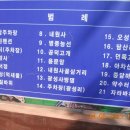 보령시청소면송동마을회관 | 24.오서산 △ 정 상