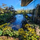 카페힐민박 이미지