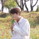 니니