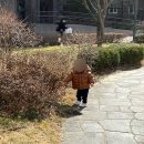 아기 패딩: 아프리콧스튜디오, 뉴 토곰 푸퍼 패딩 실버 100사이즈 (23년 토곰 브라운 비교) 후기