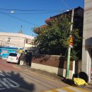 광주서초교 이미지