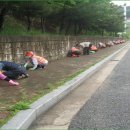안민 이미지