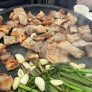 대로1-13 | 양산 원동 미나리삼겹살 13번집 비닐하우스 내돈내산 후기