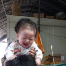 장인농장 이미지