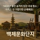 백제동물약품(주) | 충남 부여 백제문화단지 감성기행, 야간 공포체험까지!