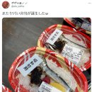 보배도시락 이미지