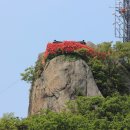 제276차 관악산 산행(수영장계곡~연주암~과천향교) 이미지