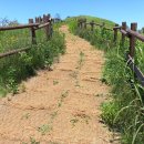 민둥산(1119m) 이미지