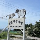 새물목장 이미지