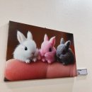 (상상)시니어_나만의 AI 캐릭터&굿즈 만들기 | 2025 AI 콘텐츠 페스티벌 코엑스 후기(무료 굿즈&amp;체험)