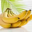 자우당부부한의원 이미지