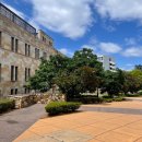 박용암음악학원 | 아이엘츠 대신 PTE 시험으로 퀸즐랜드 대학교 (UQ) 사육사 되기 위한 입학 후기