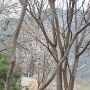 대아이엔지 이미지