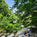백운사 | 창원 마산 무학산 최단코스 백운사 서마지기 정상 원점회귀 블랙야크 100대 명산