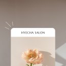 뿌리 생선국수 이미지