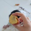 미스터 쌀 호두과자 이미지