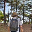 272-2082 | 파인우드 22L 등산백팩 스칸디나비아 디자인 아웃도어 가방 여행준비물