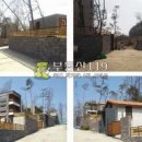 상영죽길 이미지