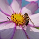 추곡낚시터 이미지