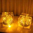 가행나무 이미지