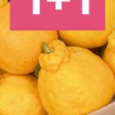 늘푸른 축산 이미지