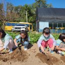 한성농장2 이미지