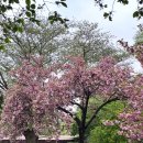 성산패총유물전시관 이미지