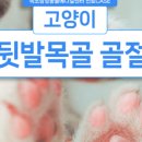 인제메디컬센터 이미지