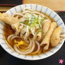 사누키제면소 동대구역사점 / 사누키우동 동대구역 2층 우동맛집