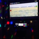 타잔노래연습장 이미지