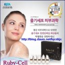 루비셀 - 원주시 웅비2길 8 | 루비셀