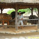 디딜방아 이미지