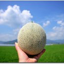 금지면 용전마을 이미지