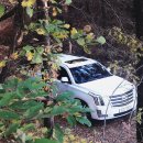 패밀리카 이미지