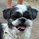 콩이네 이발소 이미지