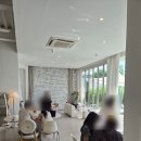 빌라드도화리 | 제천 의림지 카페 빌라드도화리, 고양이가 반겨주는 애견동반 대형카페