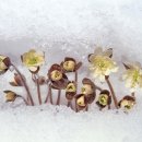 한아름공원1 이미지