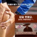 물참 이미지