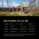 중앙로관광버스전용주차장 이미지