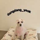 송내동1 이미지