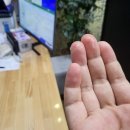 양원주동물병원 네이버블로그