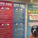 돌봄약국 | 부산 애견카페 센텀 &#34;스포독&#34; 부산 애견운동장 이용후기(소, 중대형견 분리 운동장) 대관, 돌봄 서비스...