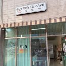 도그투케이크 이미지