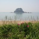 학암포오토캠핑장 이미지